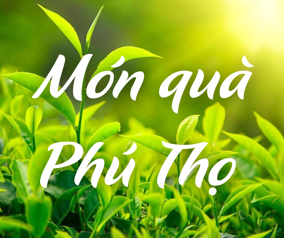 qua phu tho